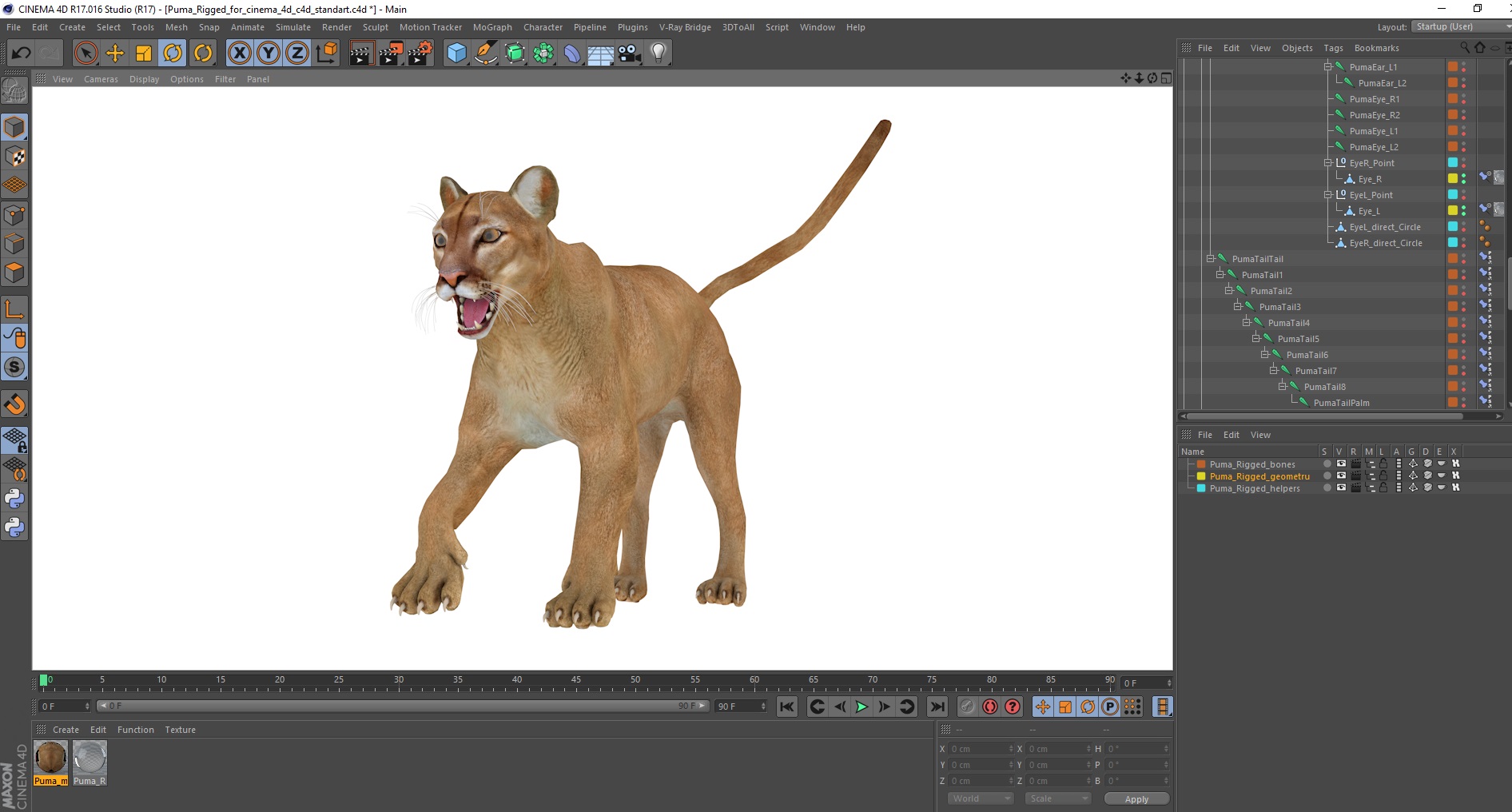 3D model Puma Rigged for Cinema 4D