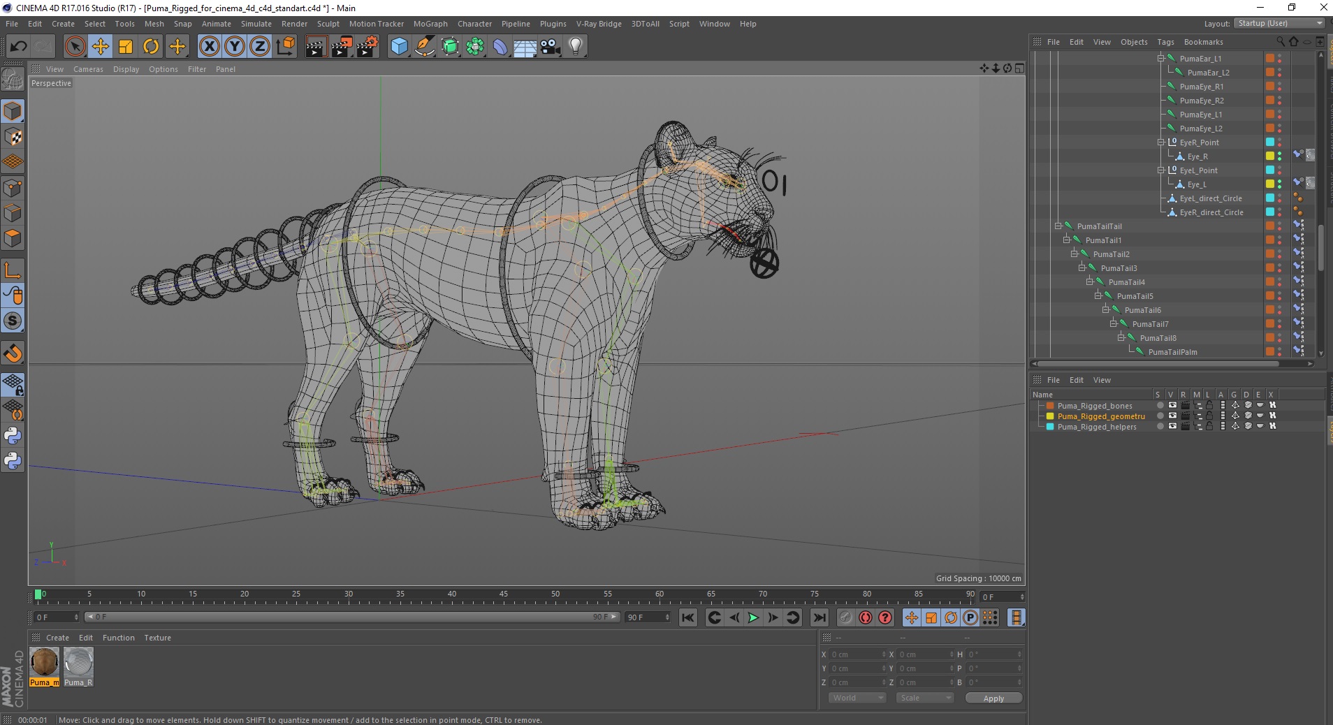 3D model Puma Rigged for Cinema 4D
