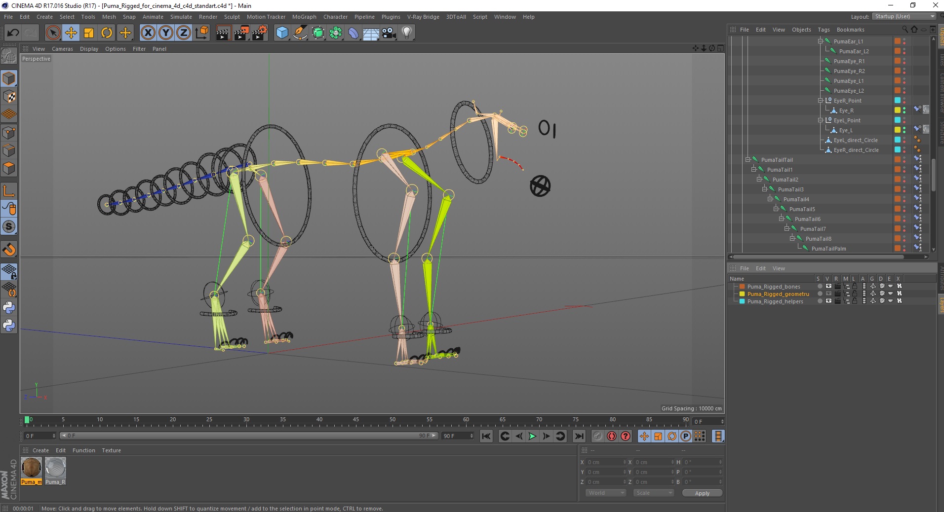3D model Puma Rigged for Cinema 4D
