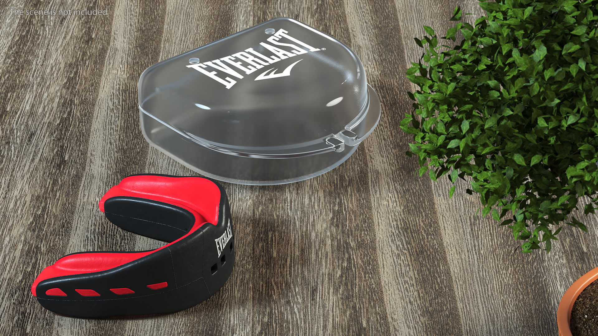 3D model Everlast EverShield Mouthguard with Case