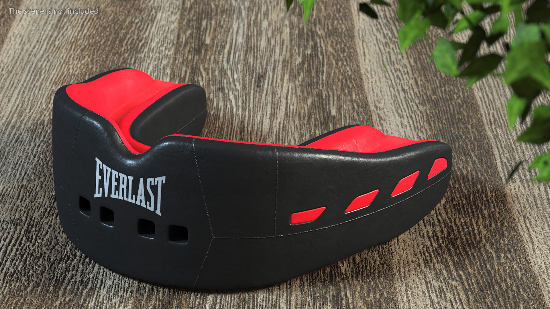 3D model Everlast EverShield Mouthguard with Case