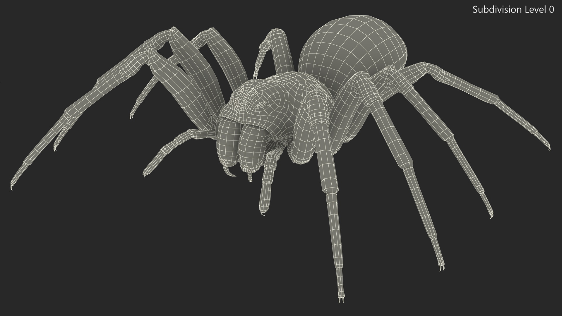 Black House Spider Fur Base Pose 3D