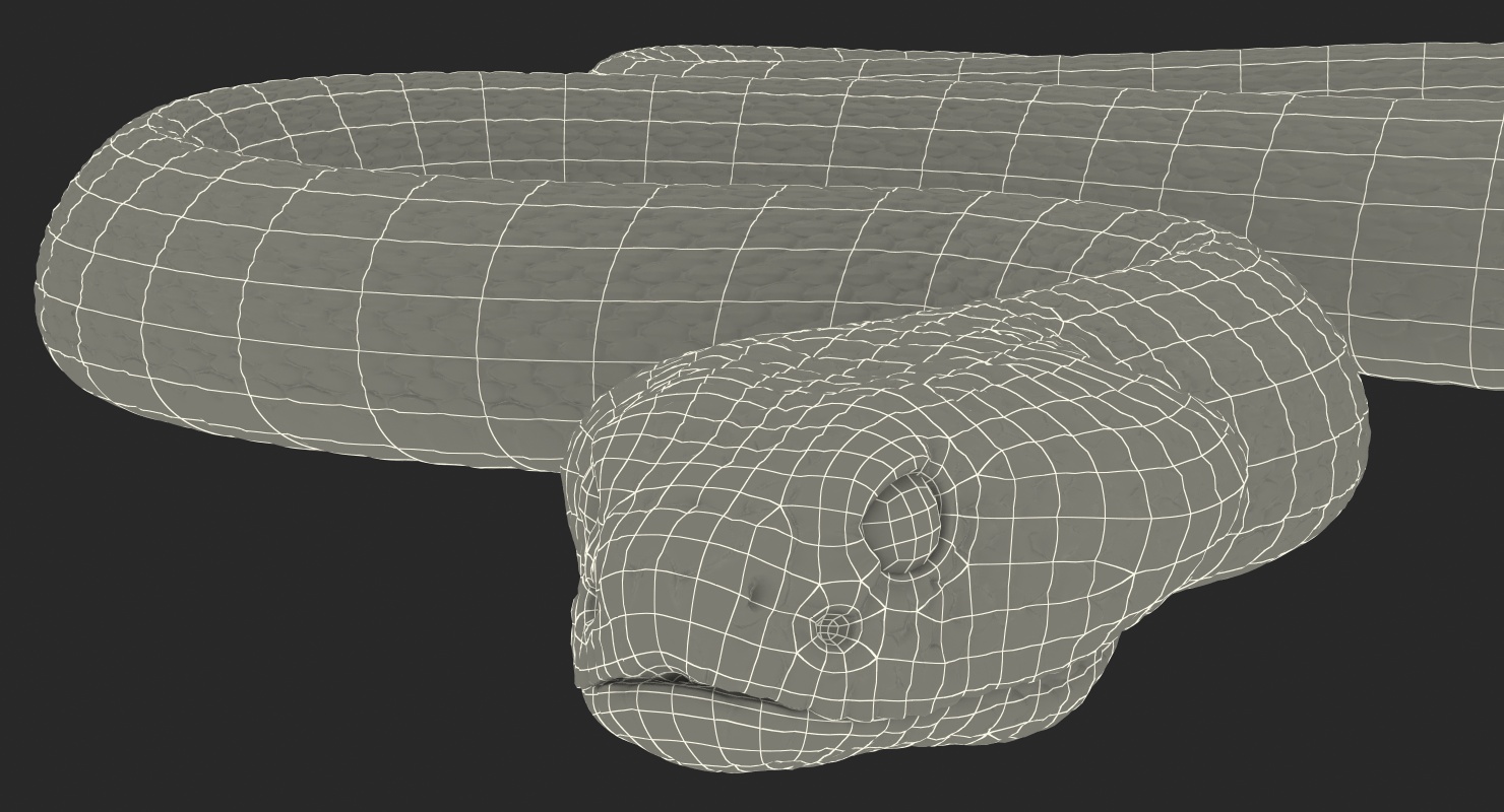 3D Light Rattlesnake Crawling Pose