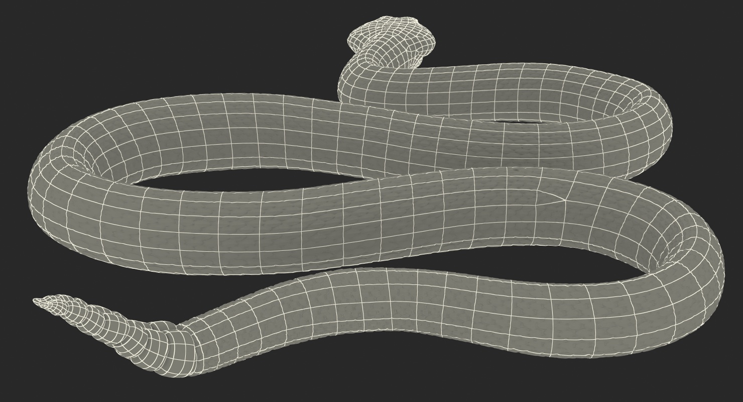 3D Light Rattlesnake Crawling Pose