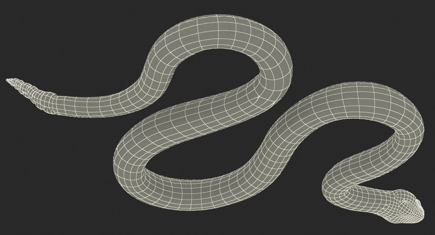3D Light Rattlesnake Crawling Pose
