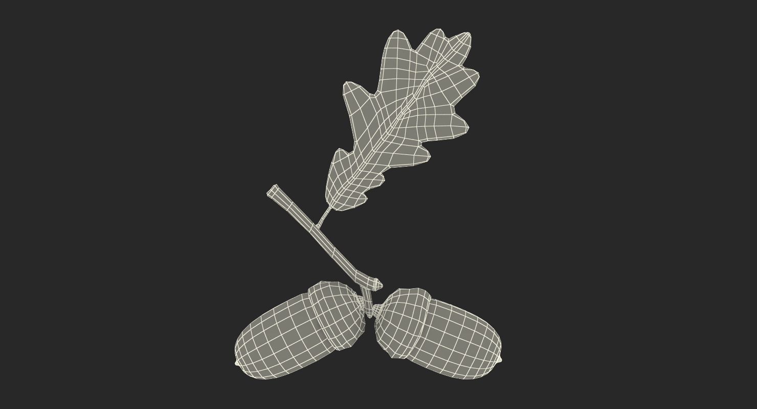 Oak Branch with Acorns 3D