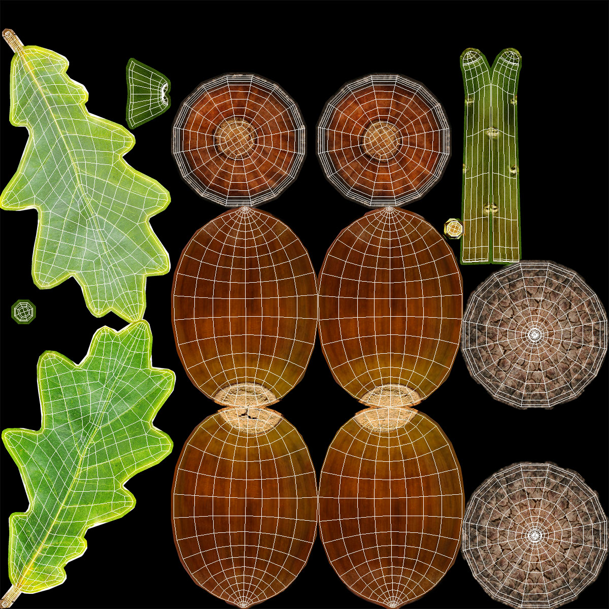 Oak Branch with Acorns 3D