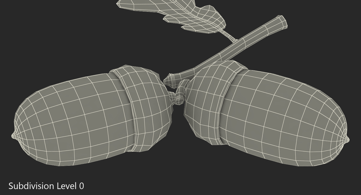 Oak Branch with Acorns 3D
