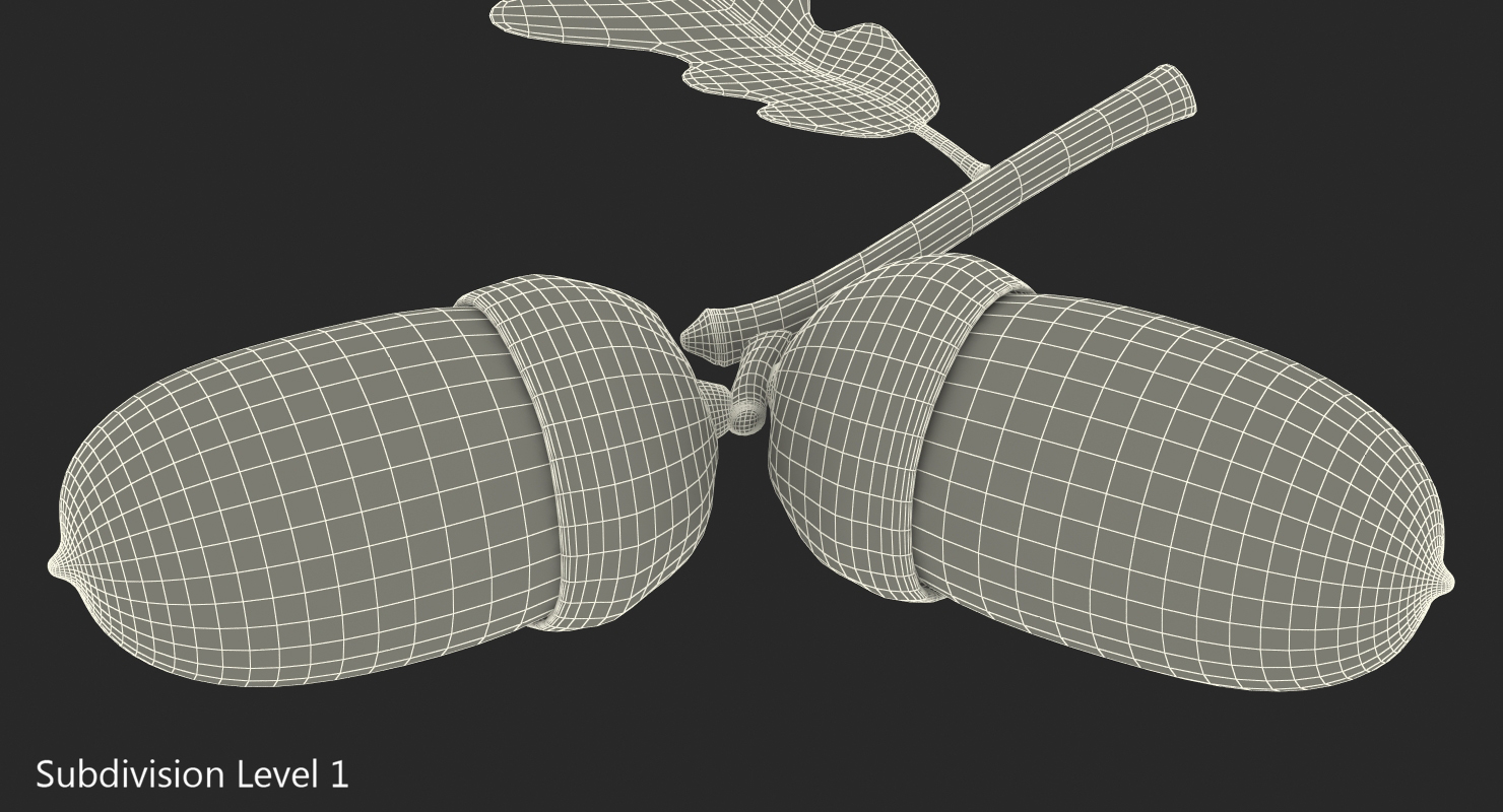 Oak Branch with Acorns 3D