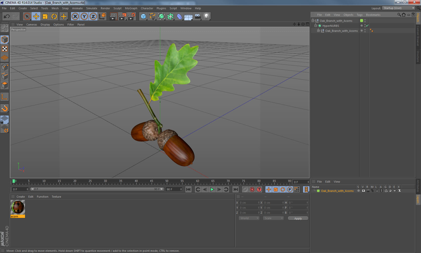 Oak Branch with Acorns 3D