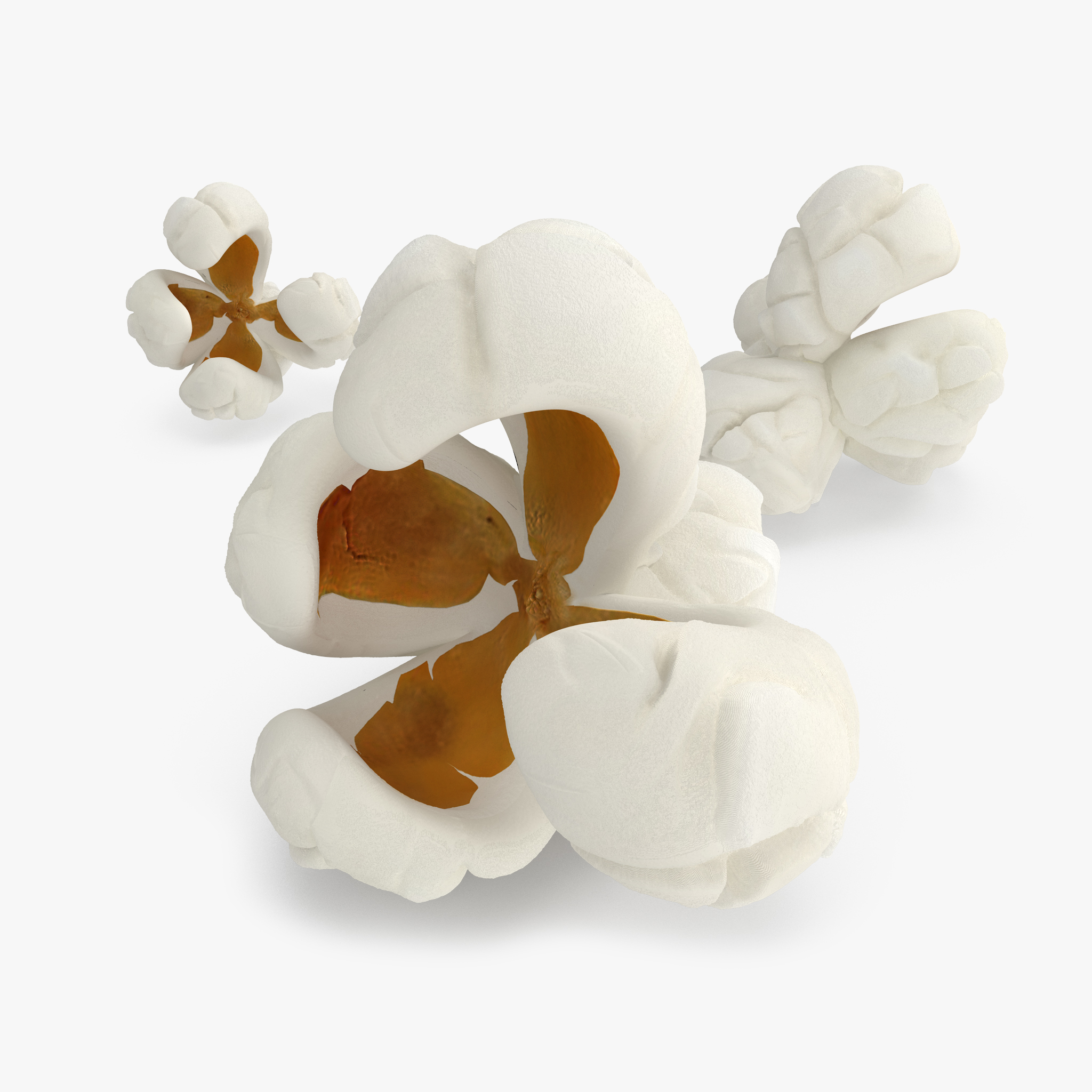 One Popcorn Kernel, view 3