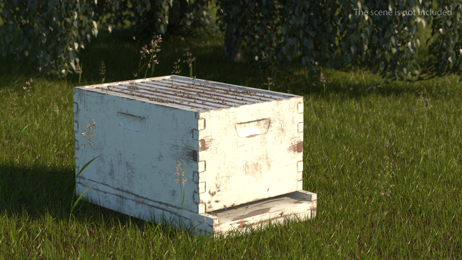 Painted Brood Box Cedar 8 frames 3D