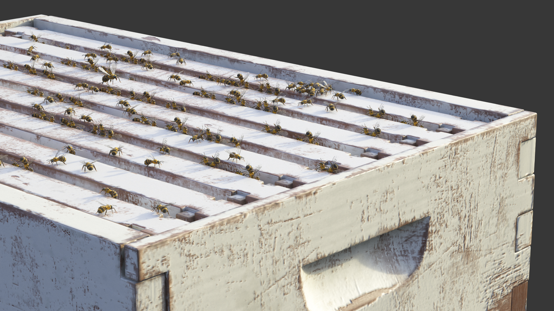 Painted Brood Box Cedar 8 frames 3D