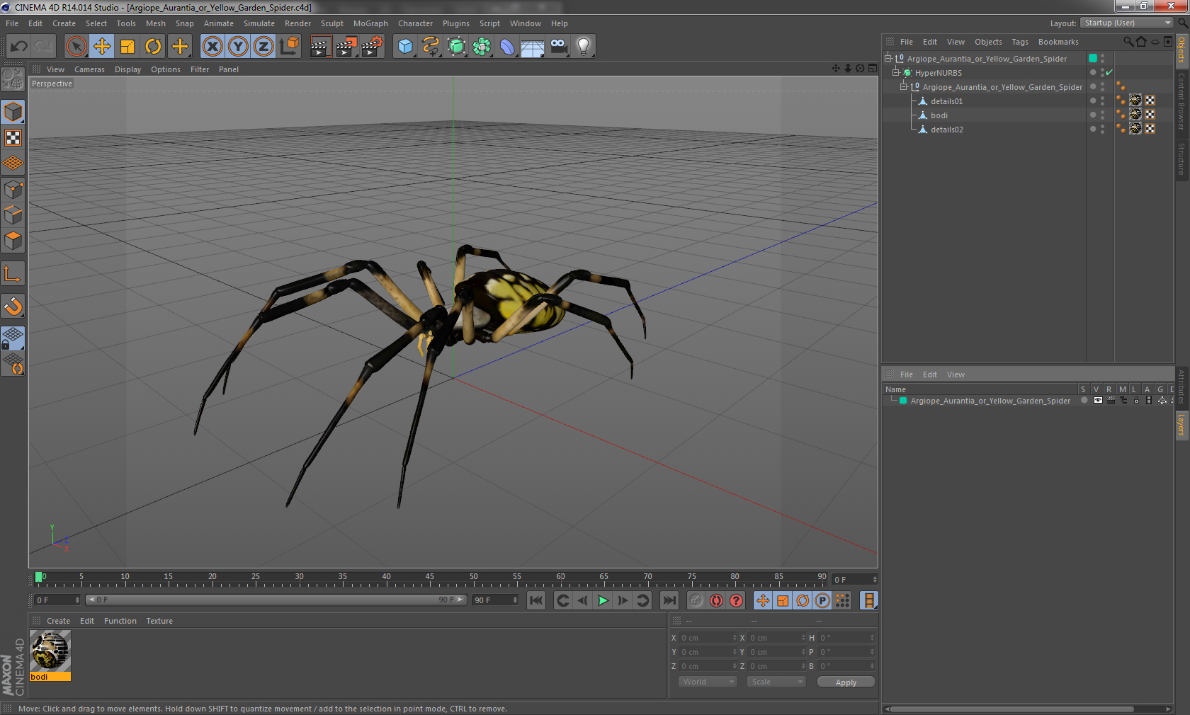 3D model Argiope Aurantia or Yellow Garden Spider