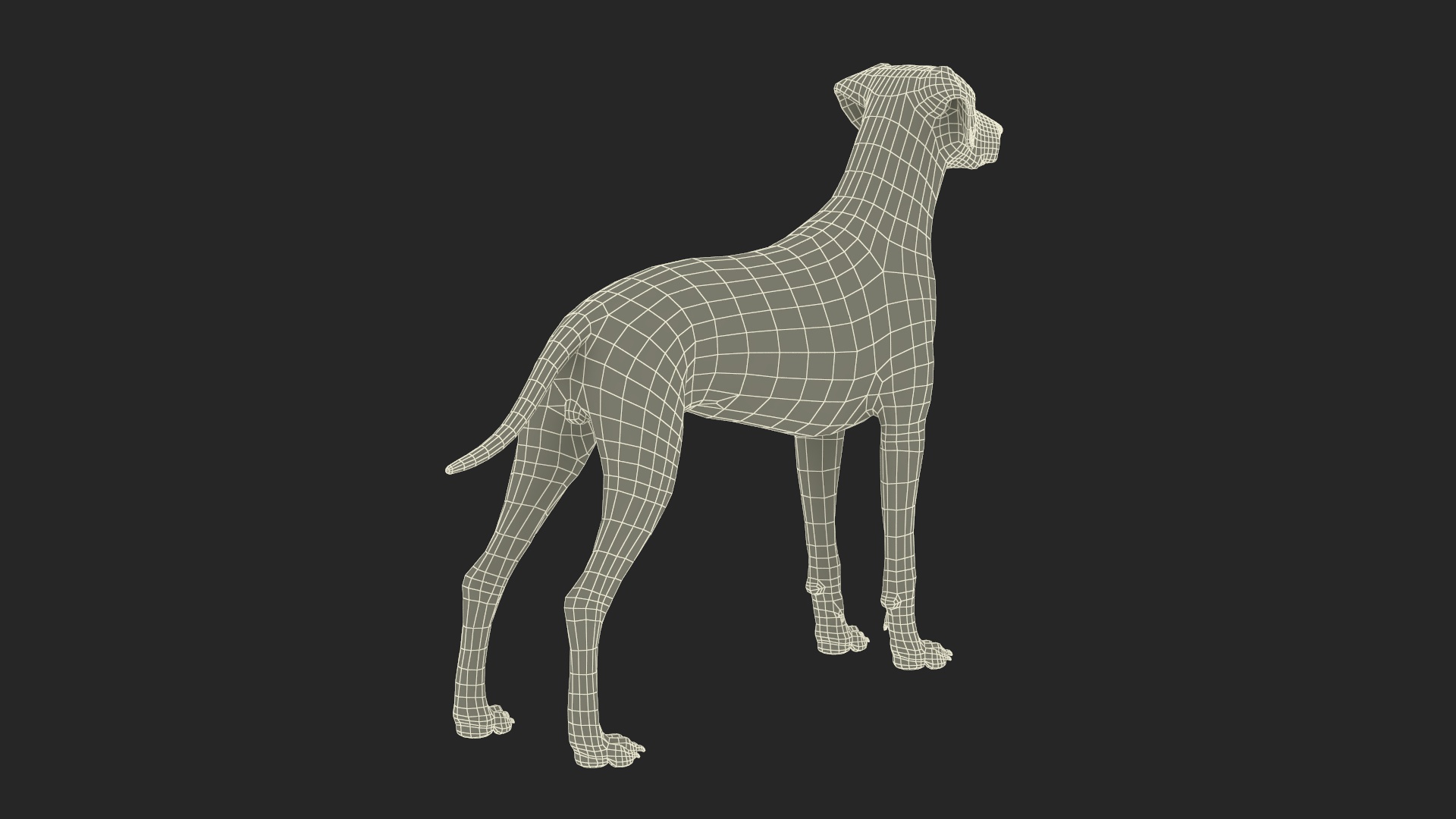 3D Spotted Dalmatian Dog