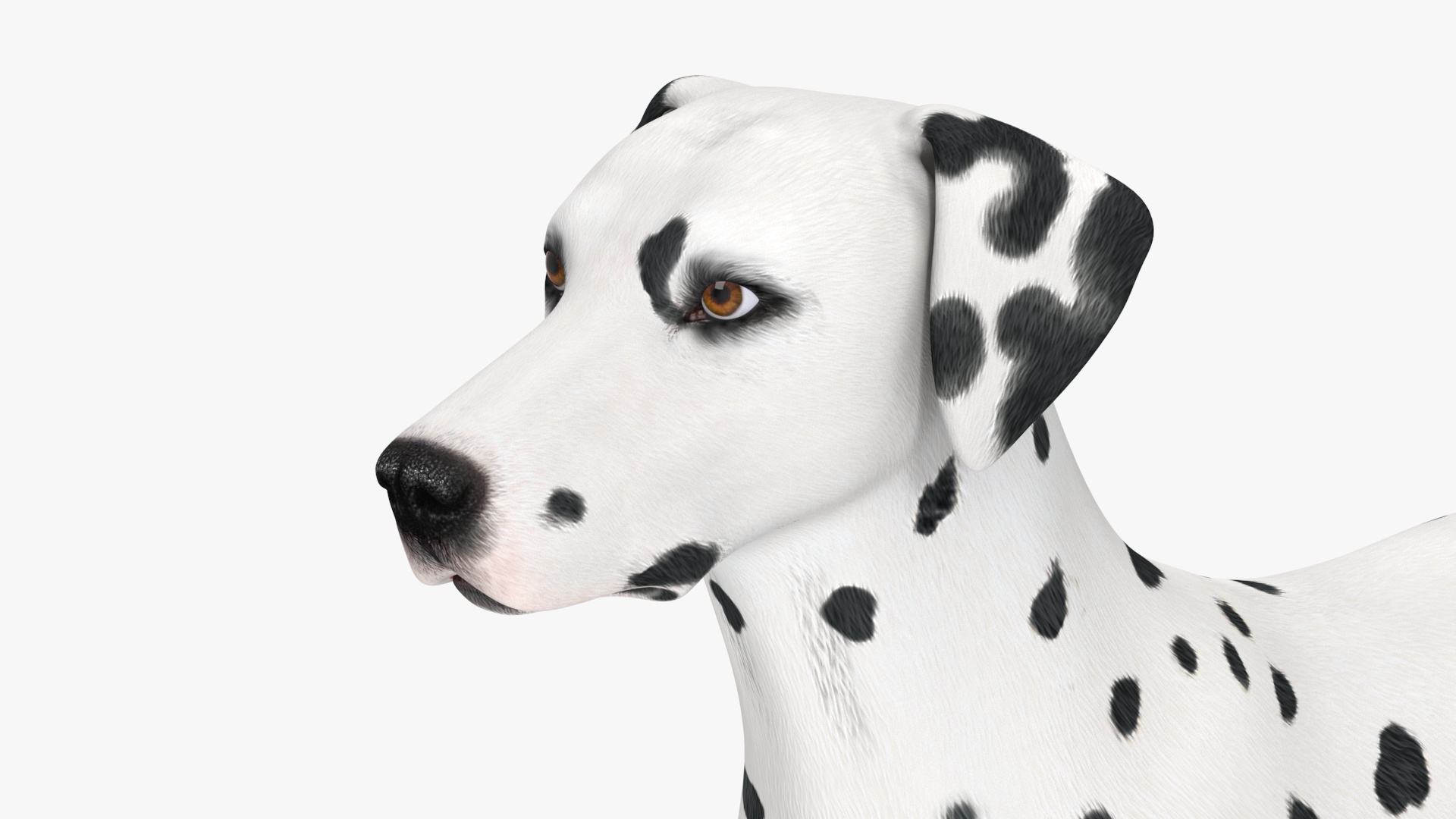 3D Spotted Dalmatian Dog