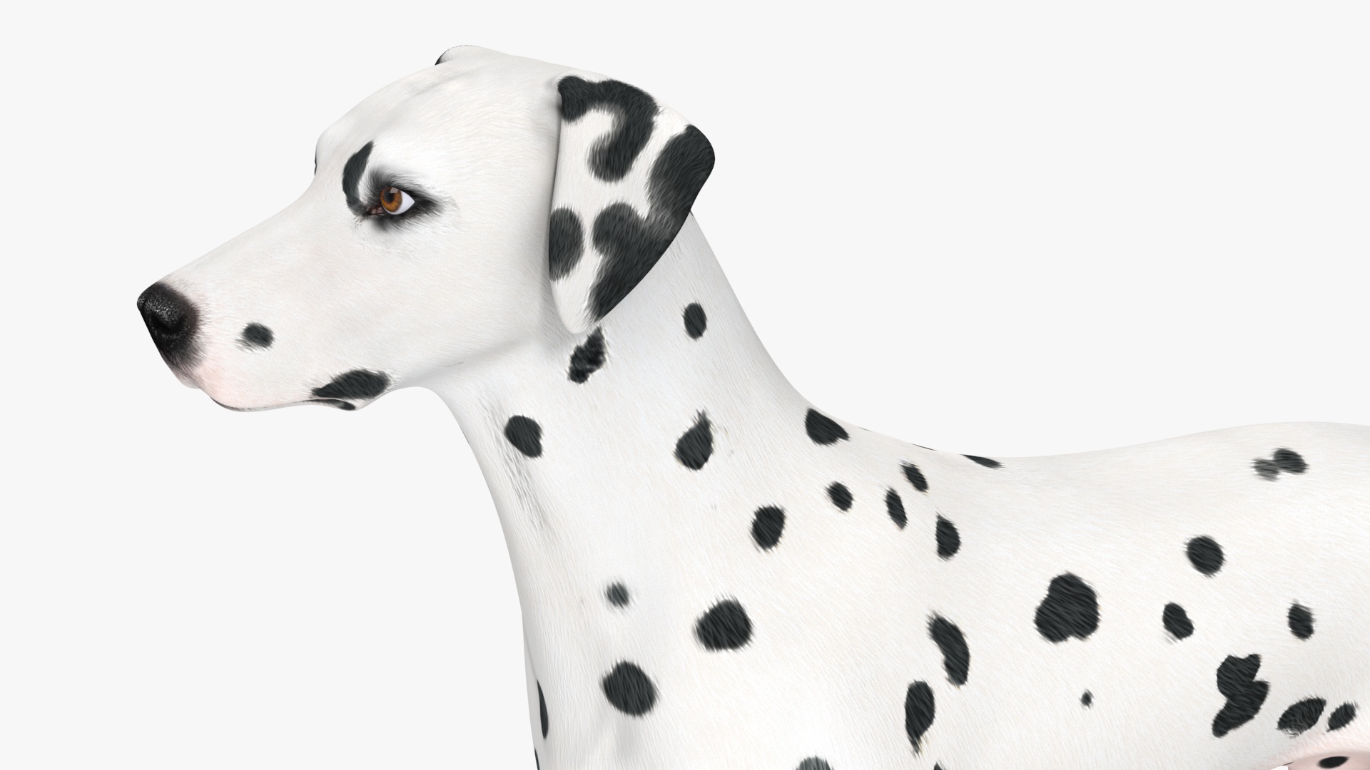 3D Spotted Dalmatian Dog