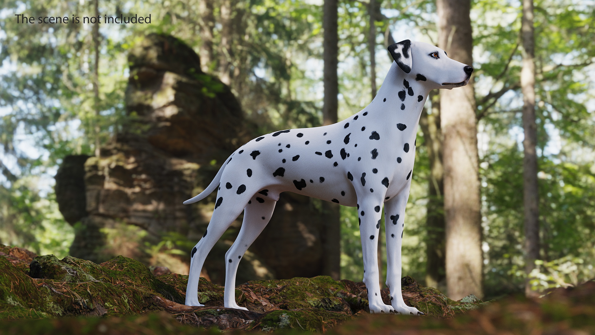 3D Spotted Dalmatian Dog
