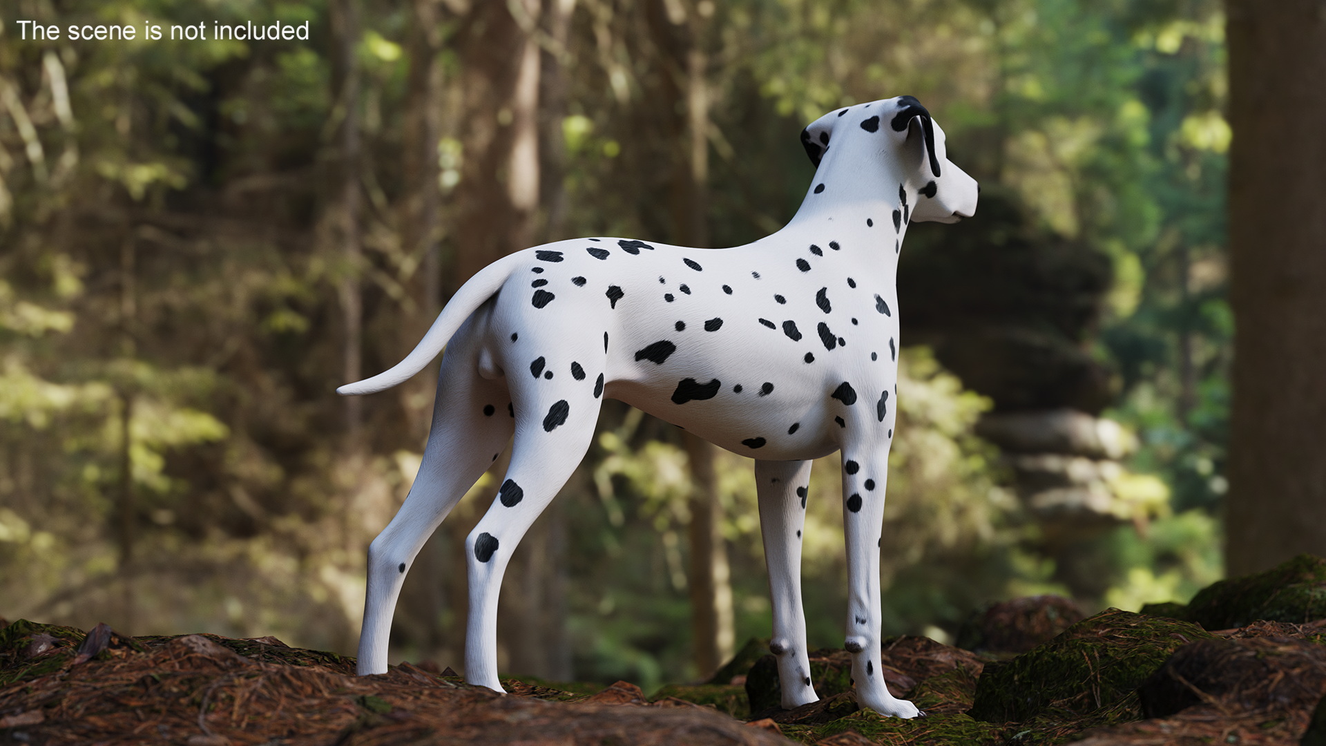 3D Spotted Dalmatian Dog