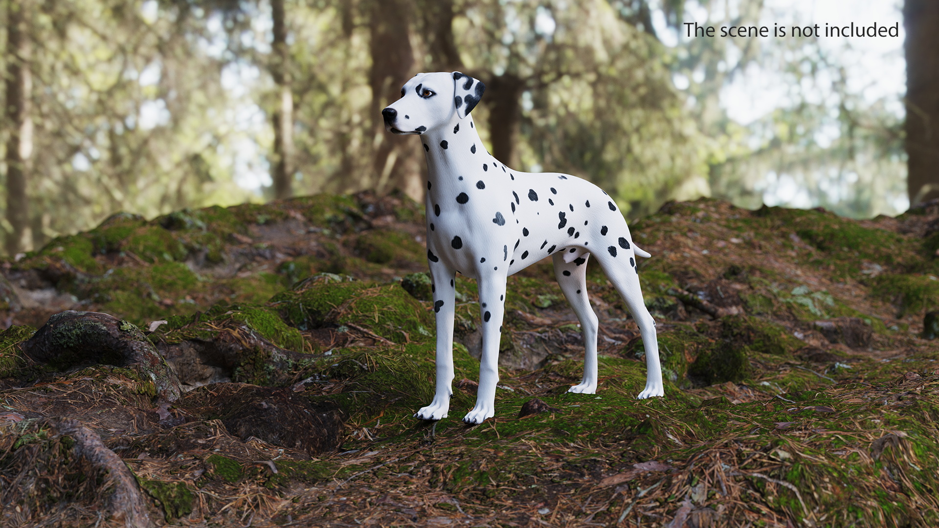 3D Spotted Dalmatian Dog