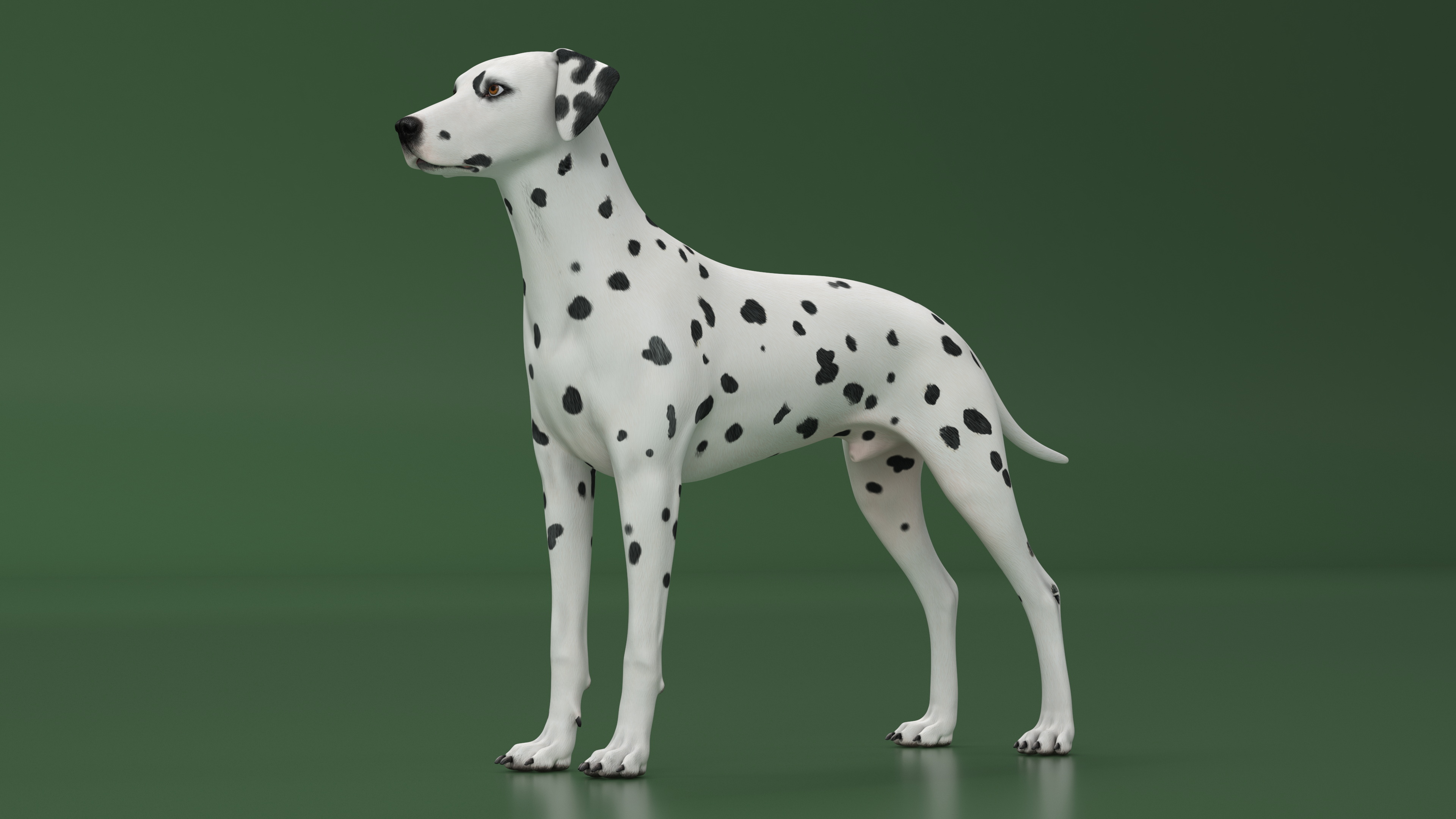 3D Spotted Dalmatian Dog