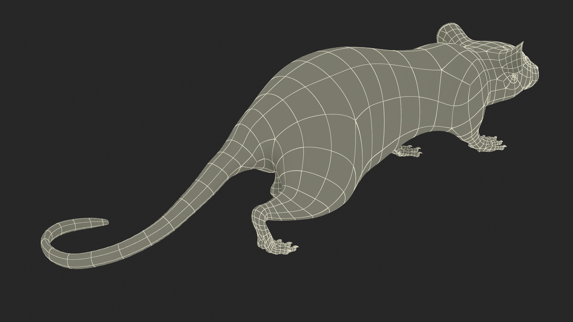 3D Realistic White Rat with Fur model