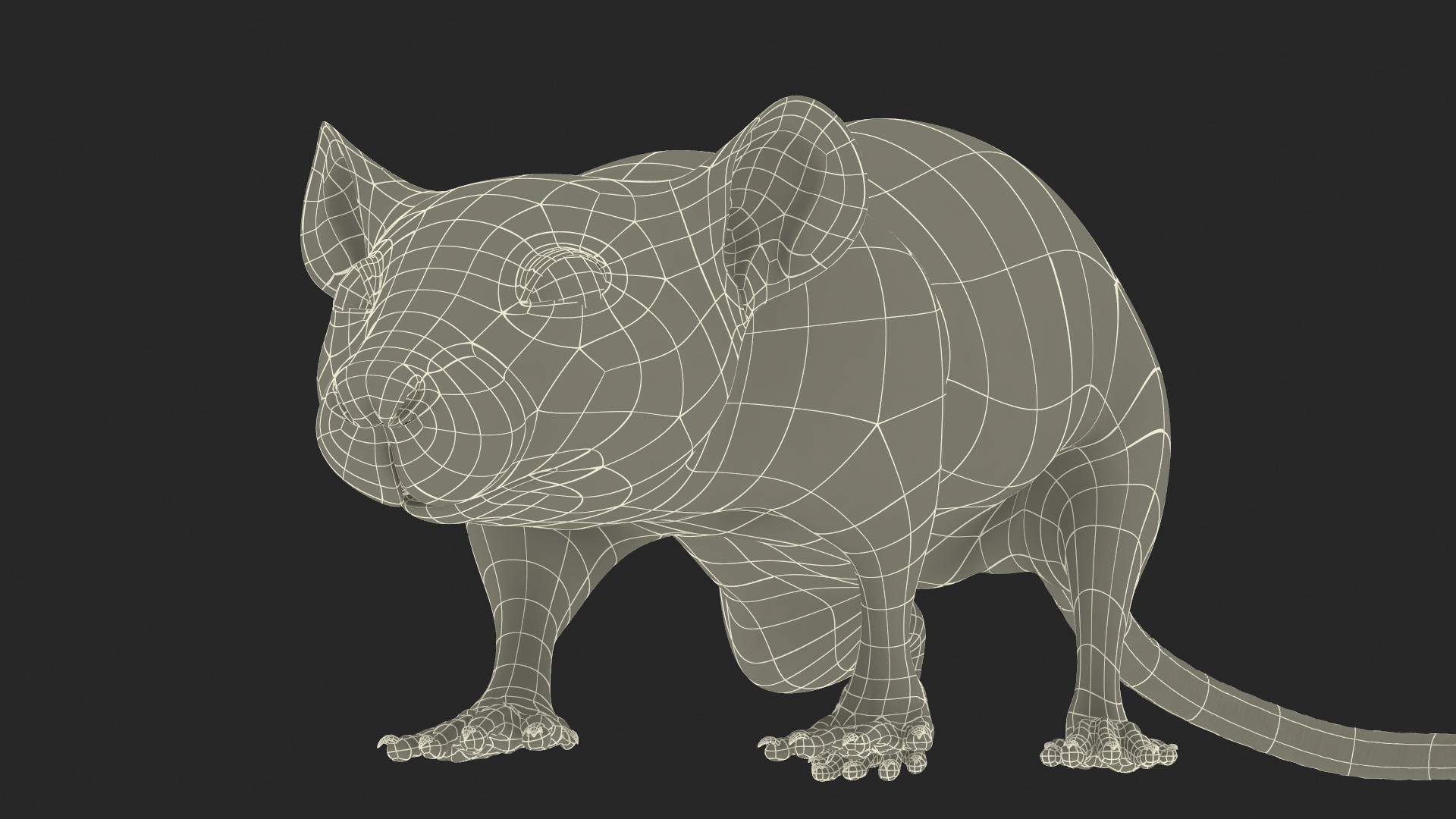 3D Realistic White Rat with Fur model
