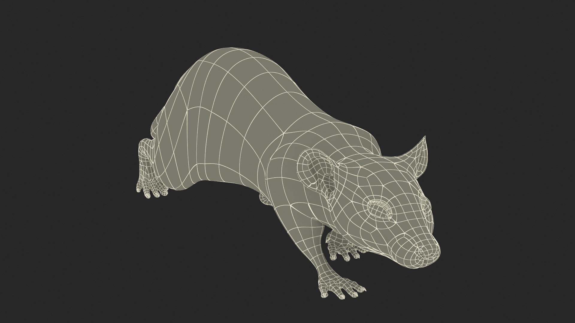 3D Realistic White Rat with Fur model