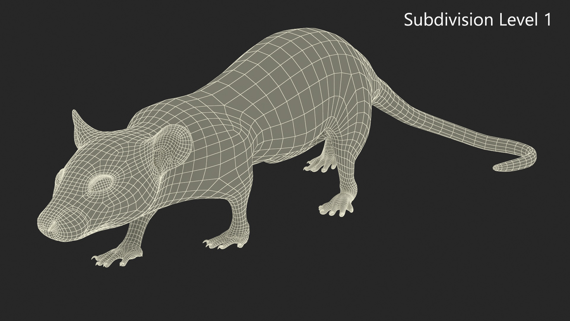3D Realistic White Rat with Fur model