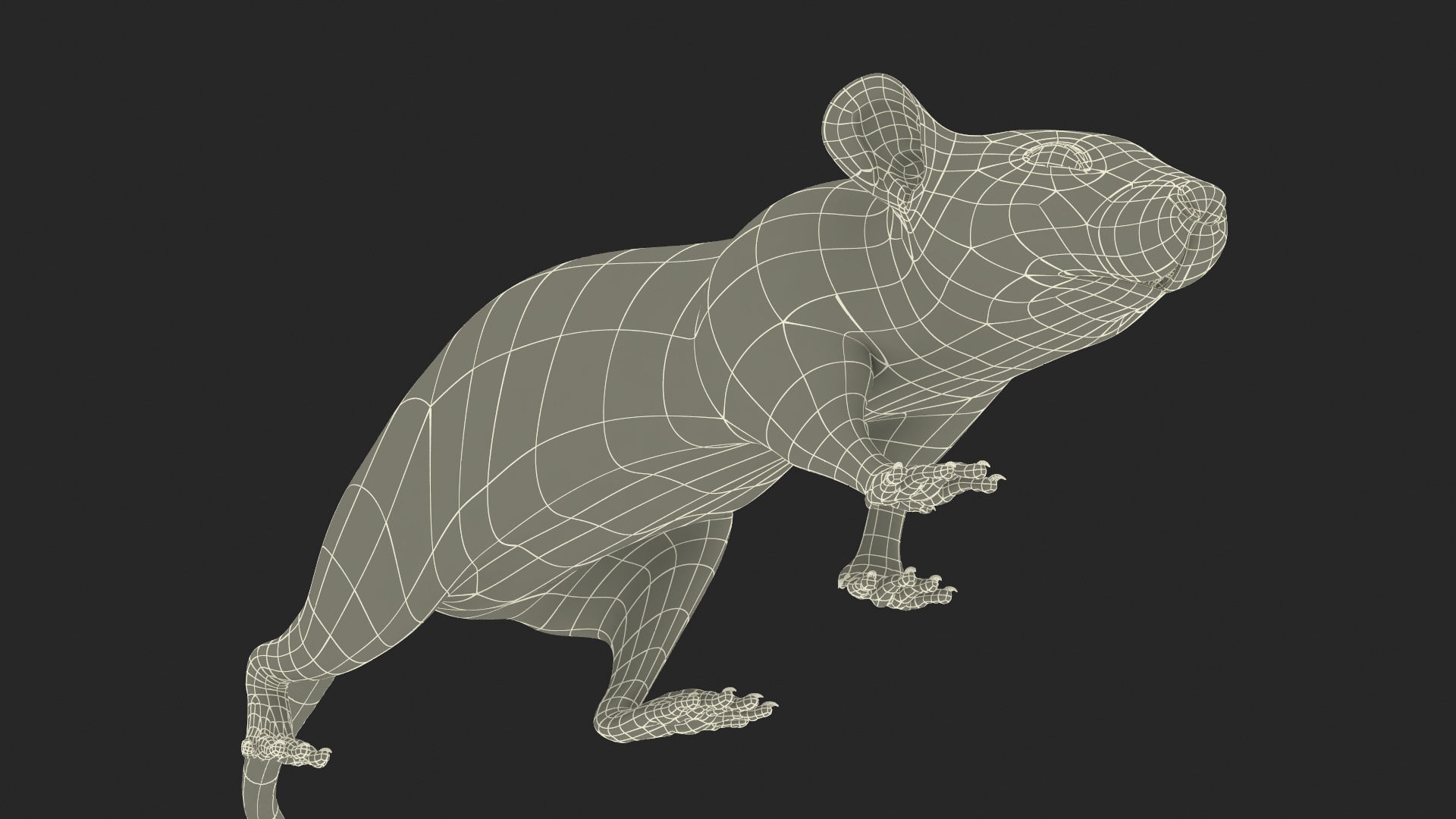 3D Realistic White Rat with Fur model
