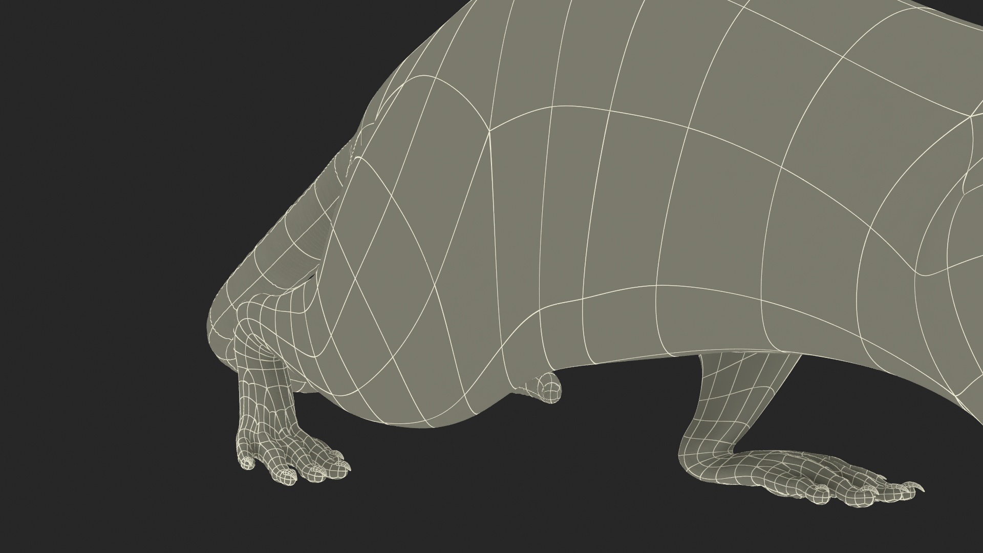 3D Realistic White Rat with Fur model