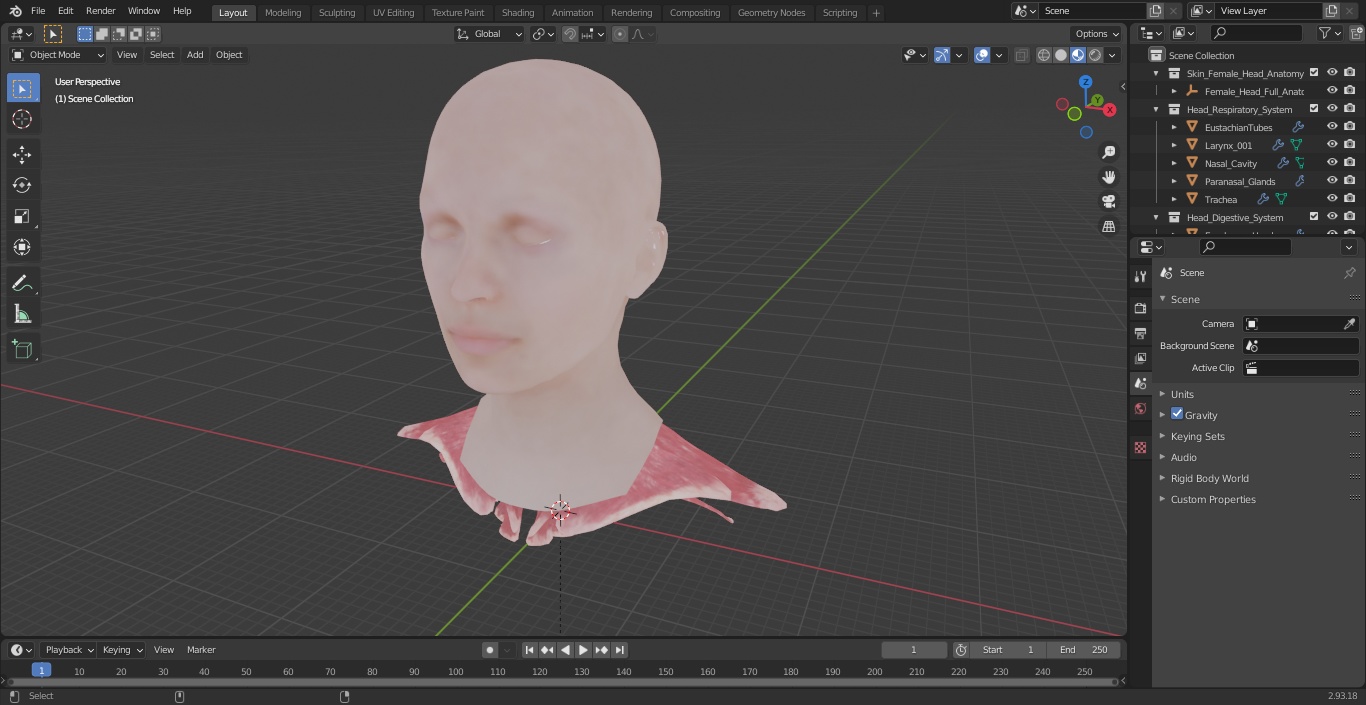3D Female Head Full Anatomy and Skin model