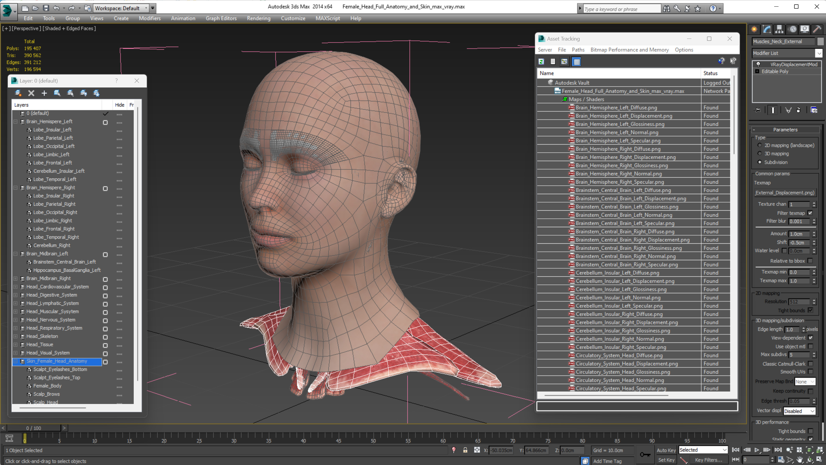 3D Female Head Full Anatomy and Skin model