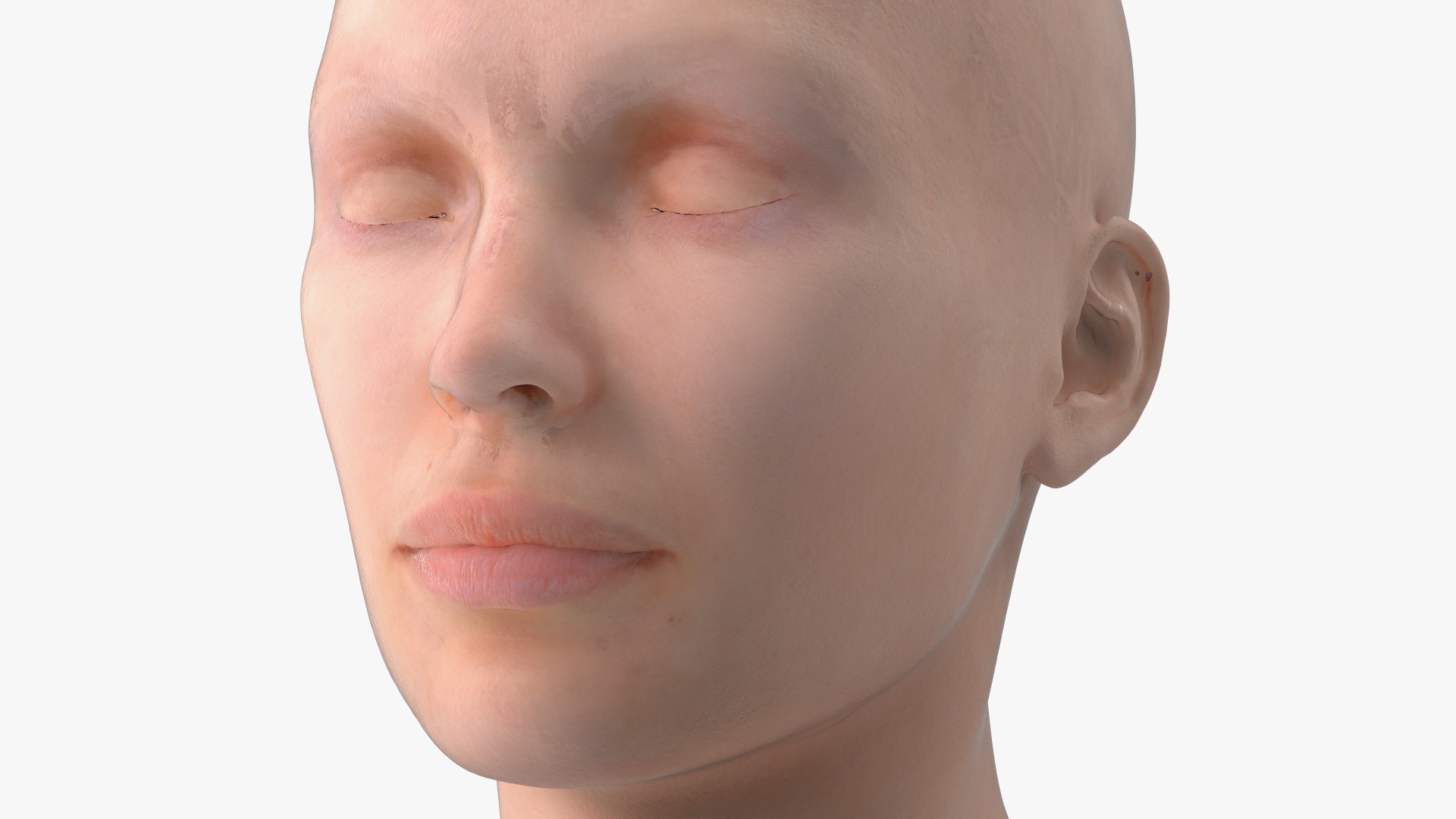 3D Female Head Full Anatomy and Skin model