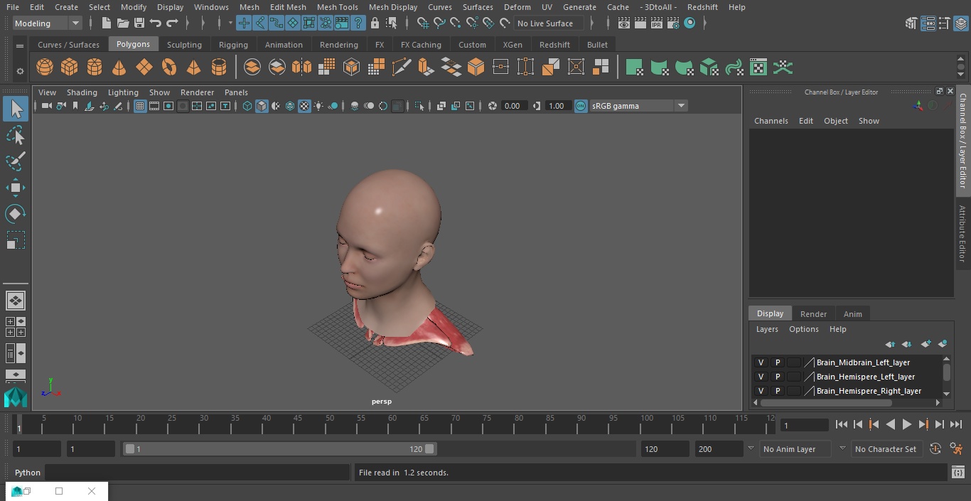 3D Female Head Full Anatomy and Skin model