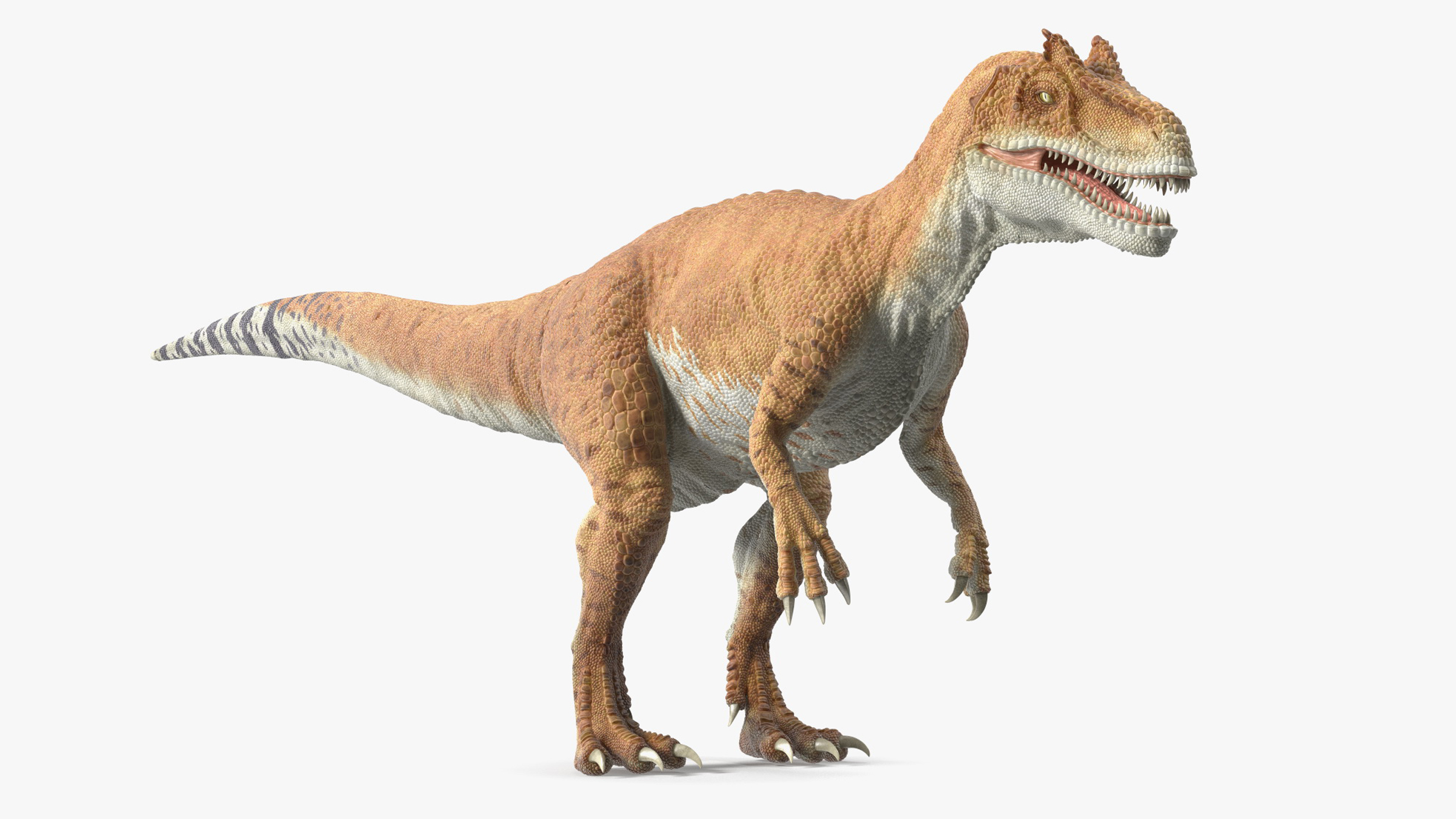 Allosaurus Yellow Coloring Rigged for Maya 3D