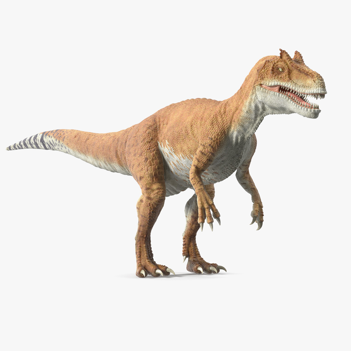 Allosaurus Yellow Coloring Rigged for Maya 3D