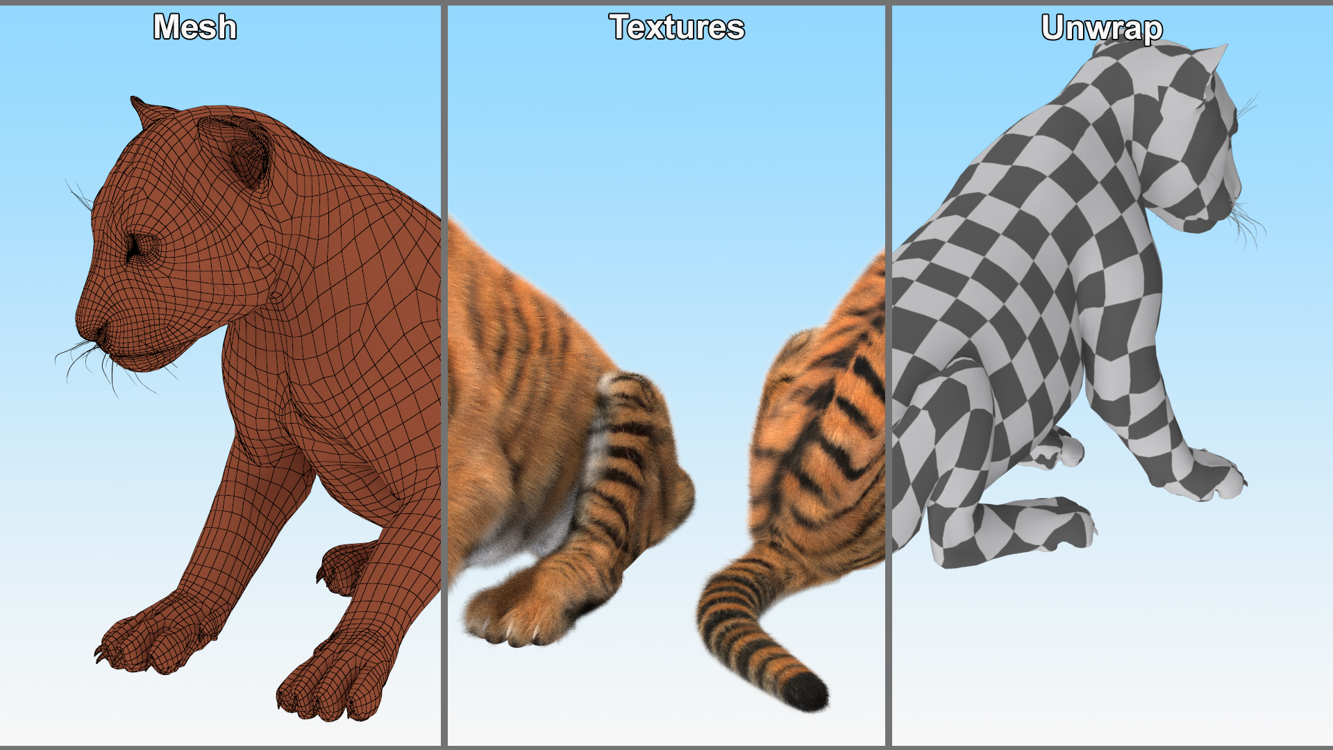 3D Tiger Cub Sitting Fur