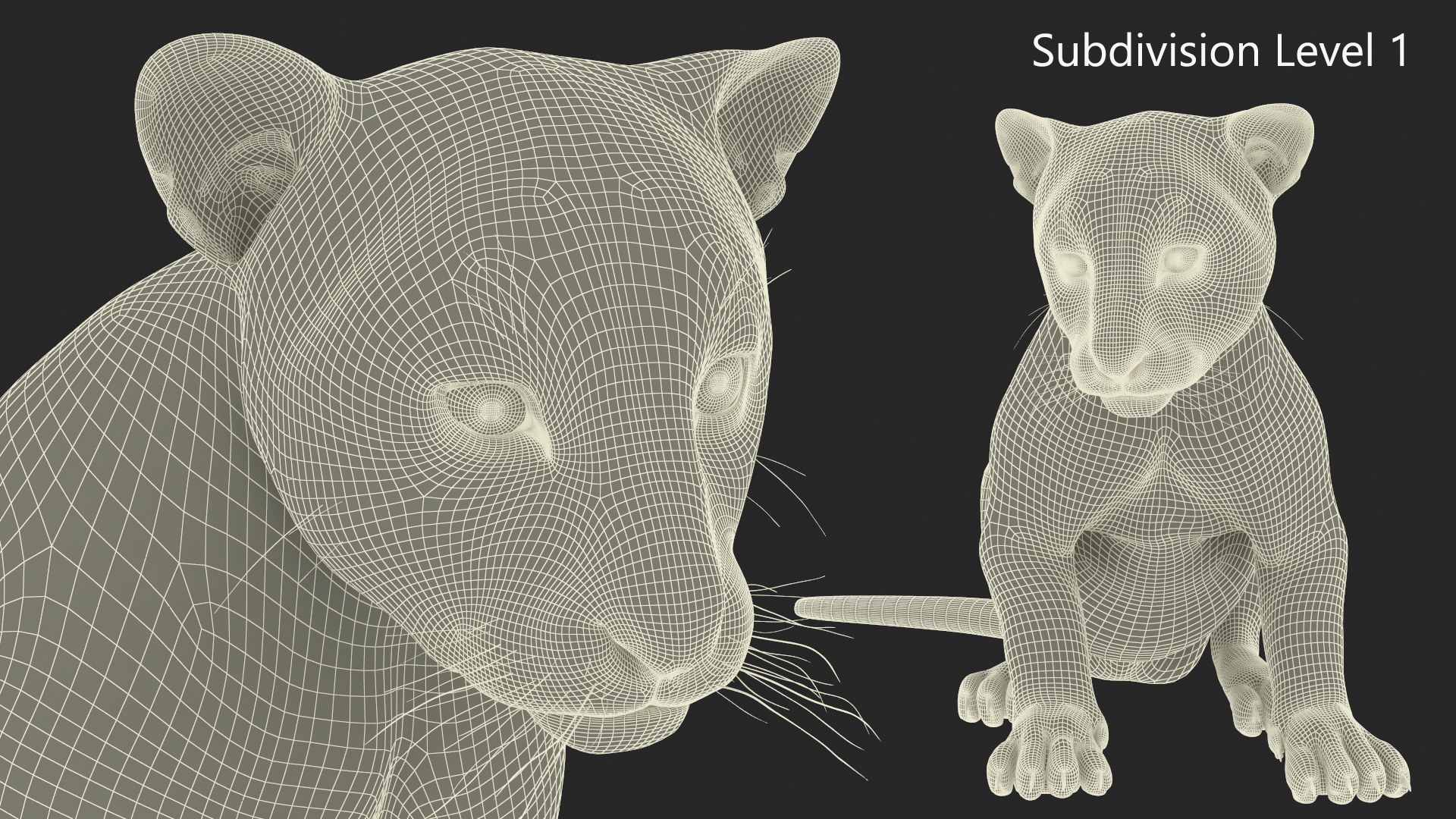 3D Tiger Cub Sitting Fur