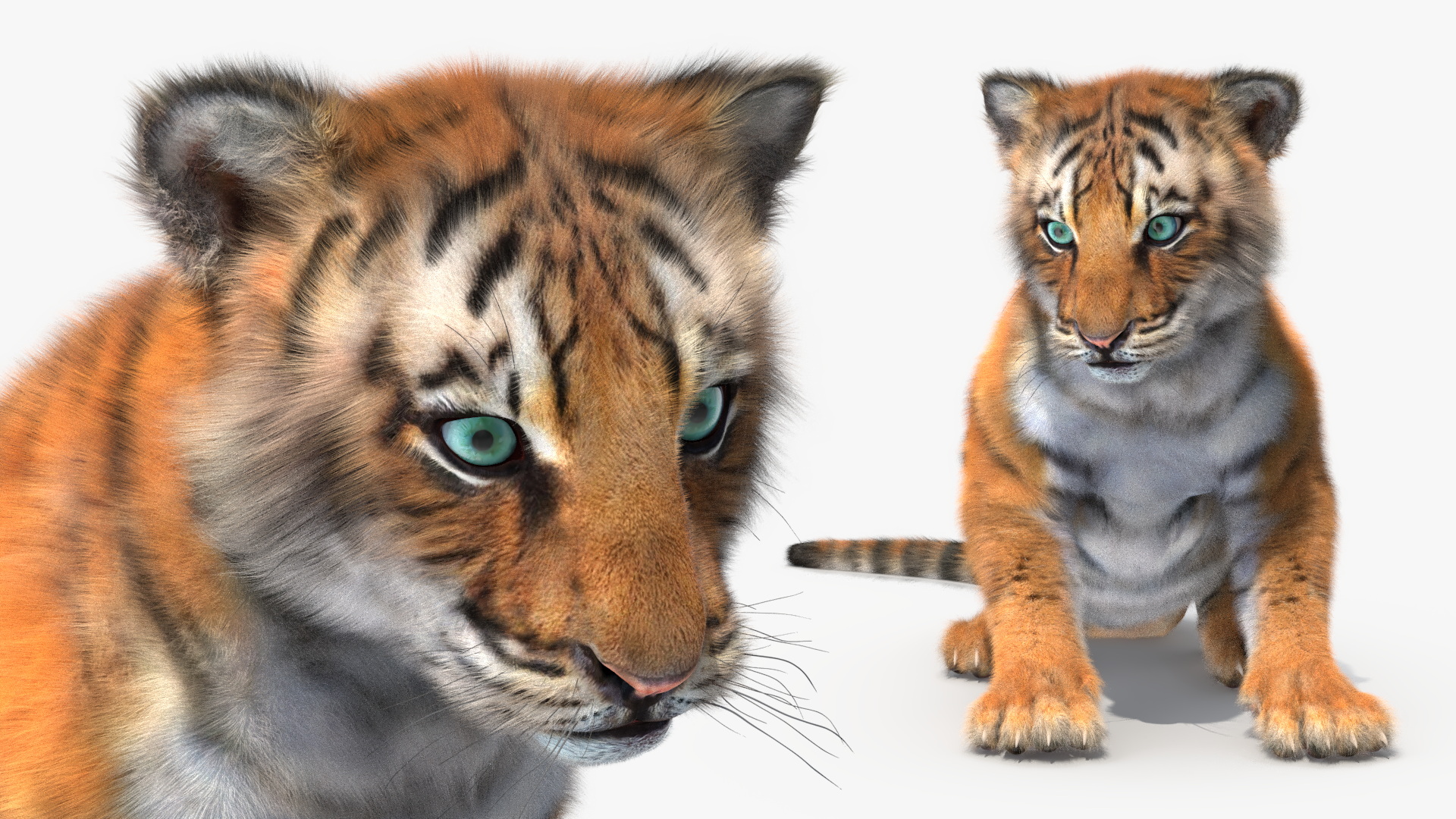3D Tiger Cub Sitting Fur