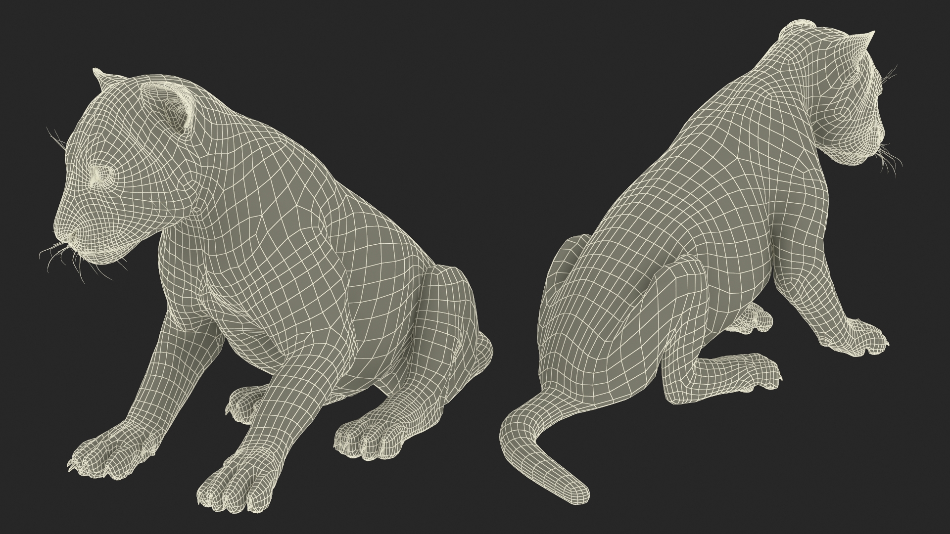 3D Tiger Cub Sitting Fur