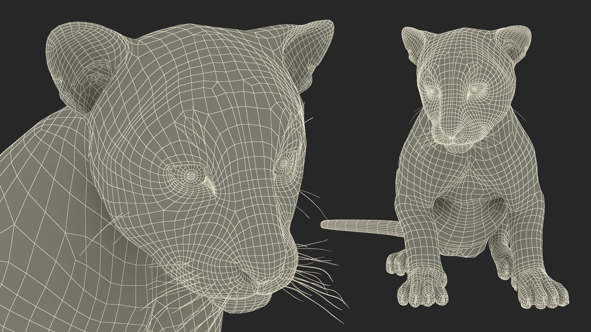 3D Tiger Cub Sitting Fur