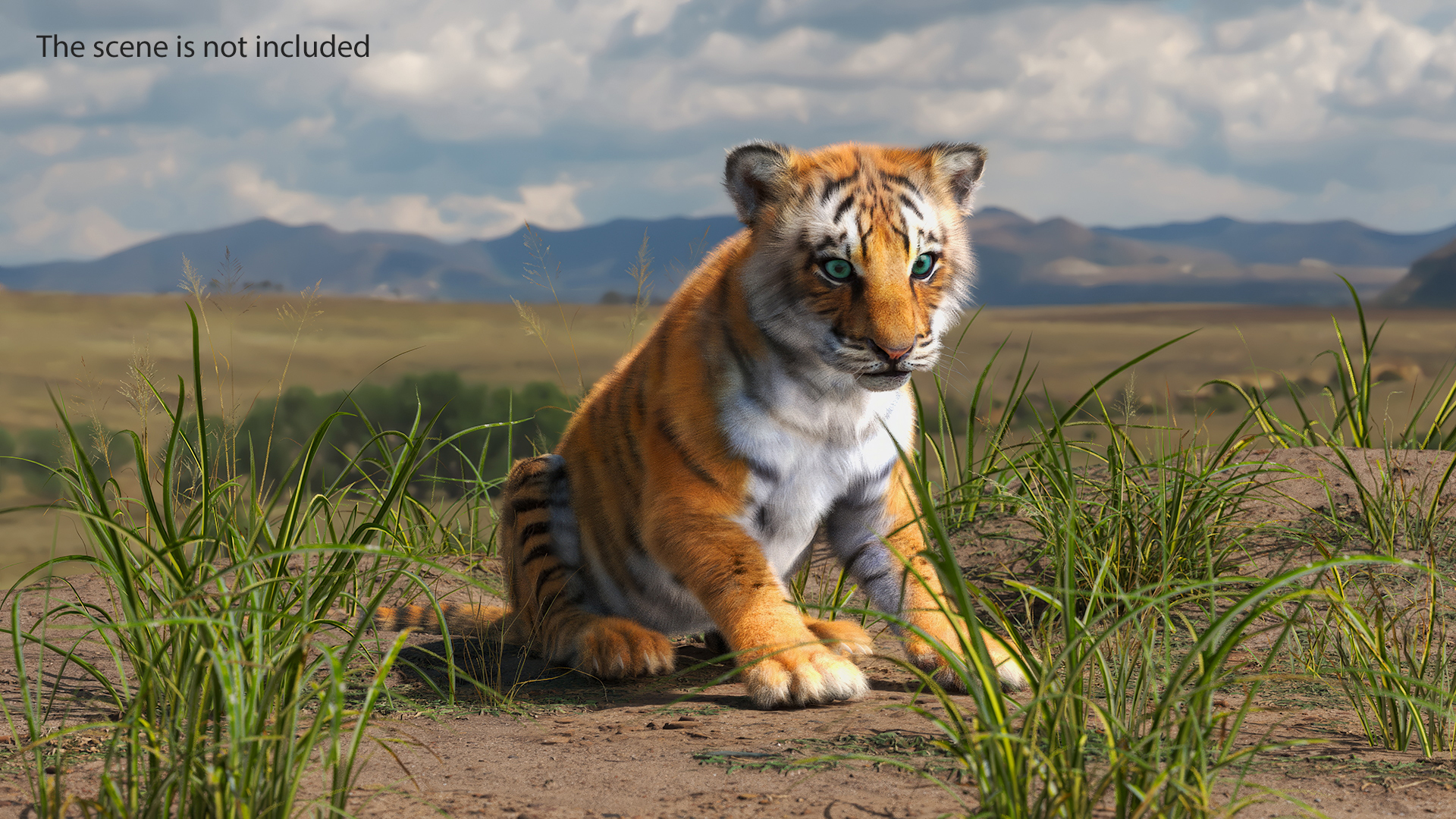 3D Tiger Cub Sitting Fur