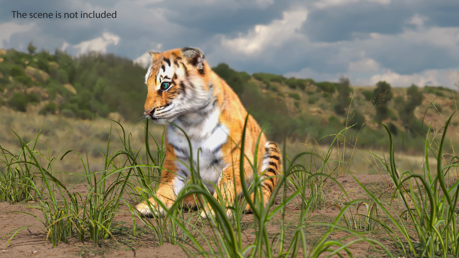 3D Tiger Cub Sitting Fur