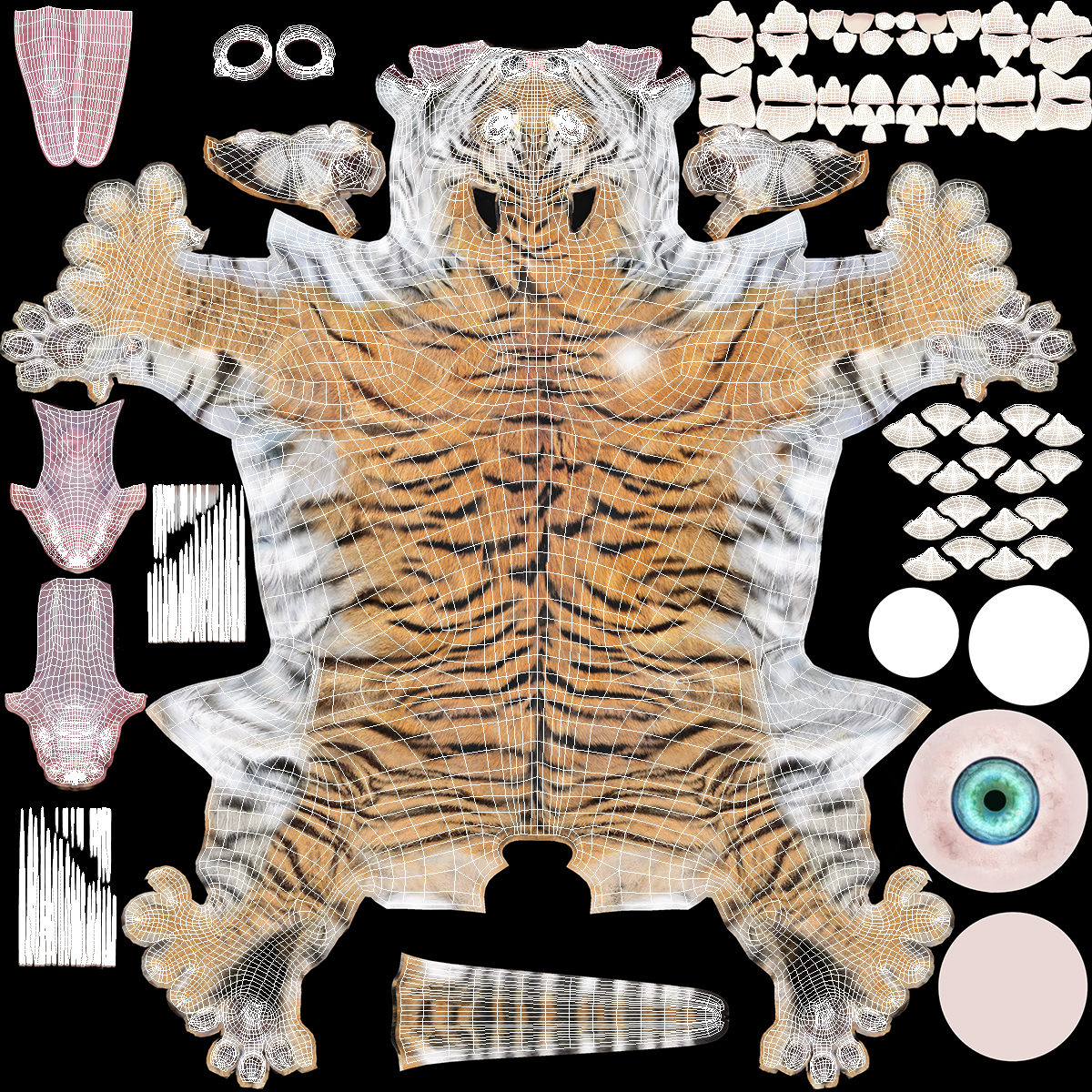 3D Tiger Cub Sitting Fur