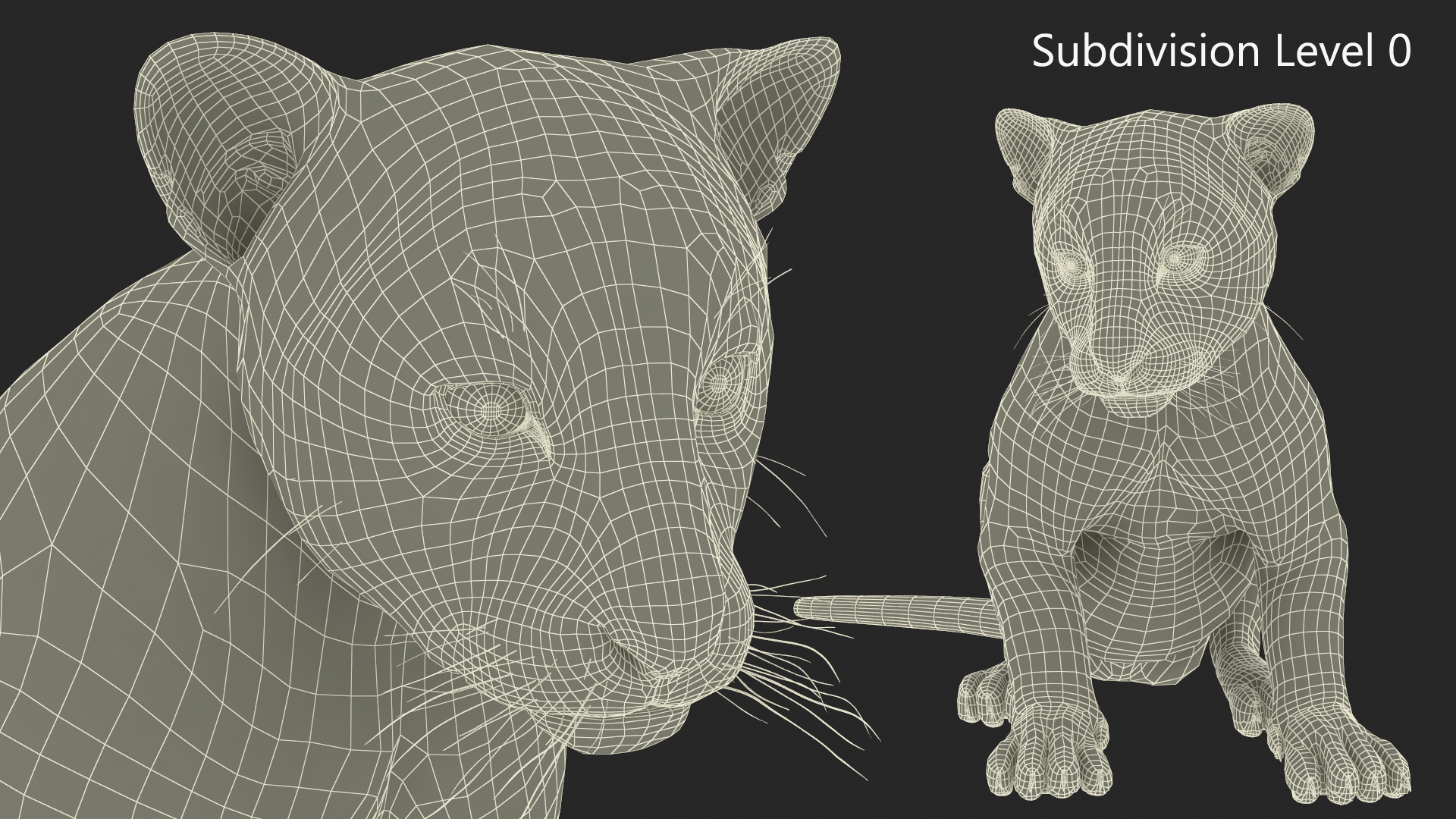 3D Tiger Cub Sitting Fur