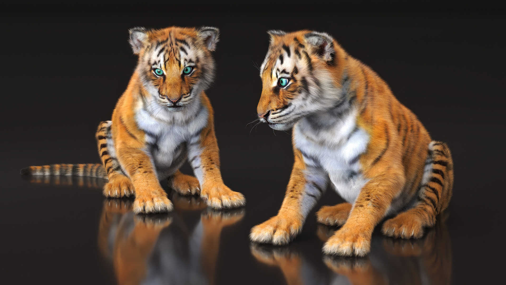 3D Tiger Cub Sitting Fur