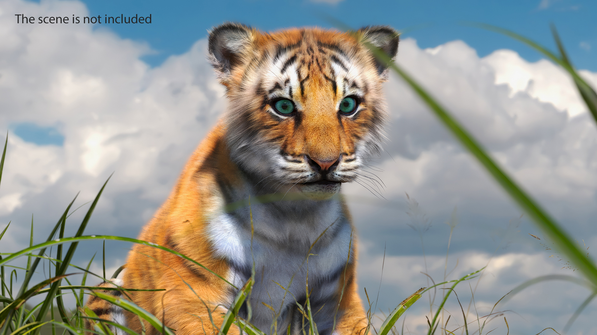 3D Tiger Cub Sitting Fur