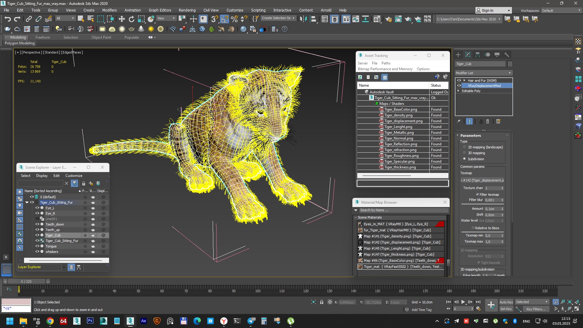 3D Tiger Cub Sitting Fur