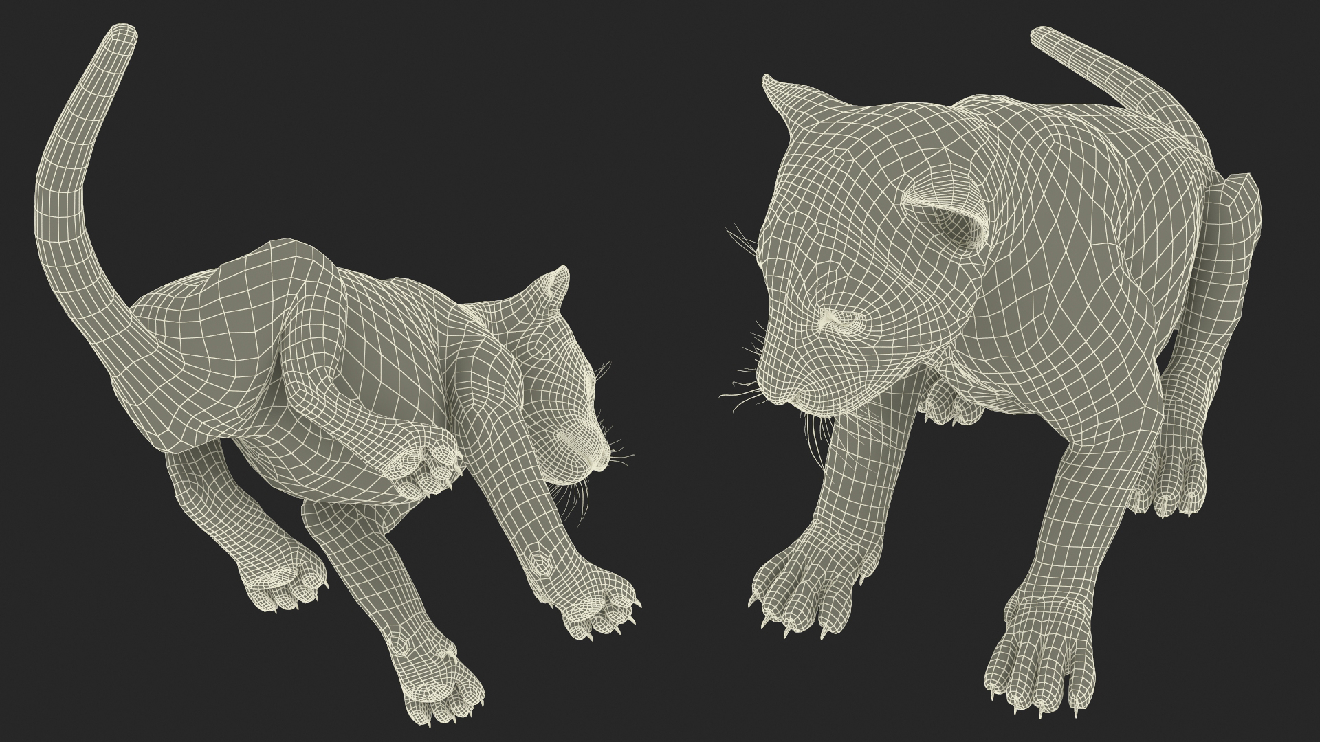 3D Tiger Cub Sitting Fur